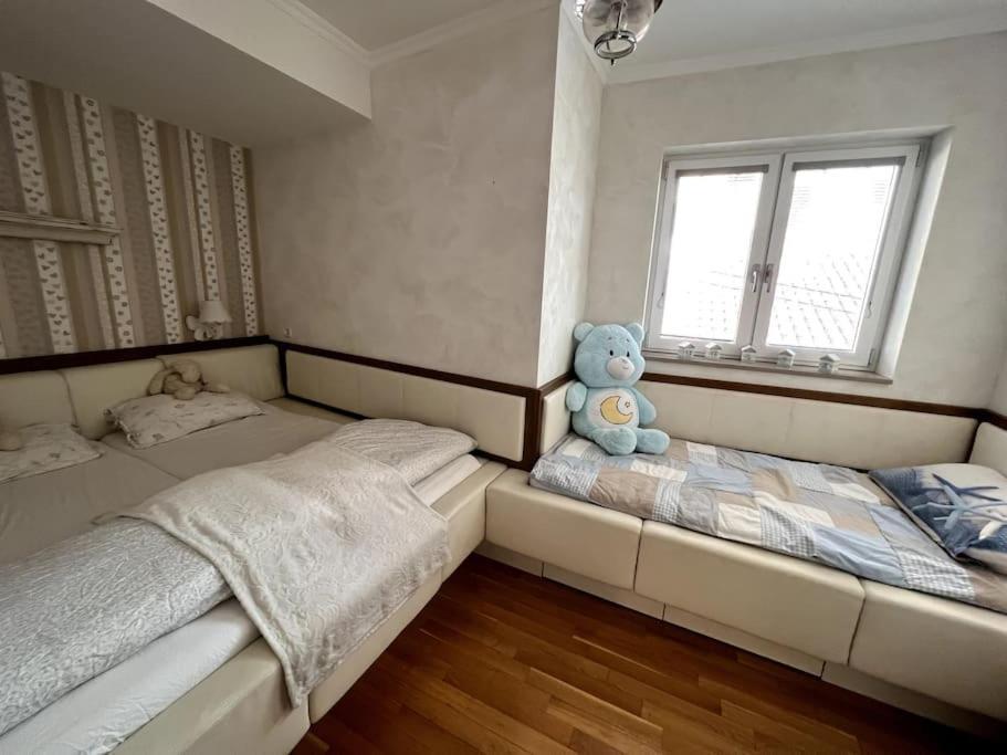 קופר Apartment Sunny Days מראה חיצוני תמונה